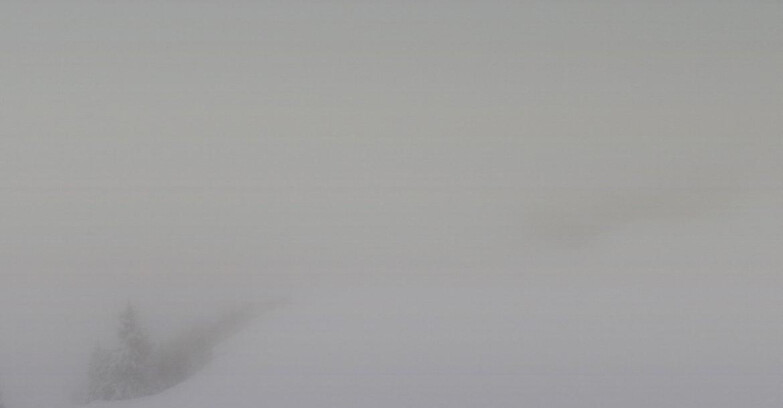 Webcam Skiarea Campiglio Dolomiti di Brenta Val di Sole Val Rendena - Seggiovia Malghette 