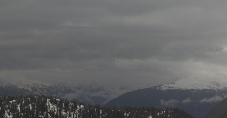 Webcam Skiarea Campiglio Dolomiti di Brenta Val di Sole Val Rendena - Gruppo Ortles Cevedale 