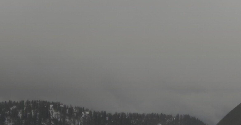 Webcam Skiarea Campiglio Dolomiti di Brenta Val di Sole Val Rendena - Gruppo Ortles Cevedale 