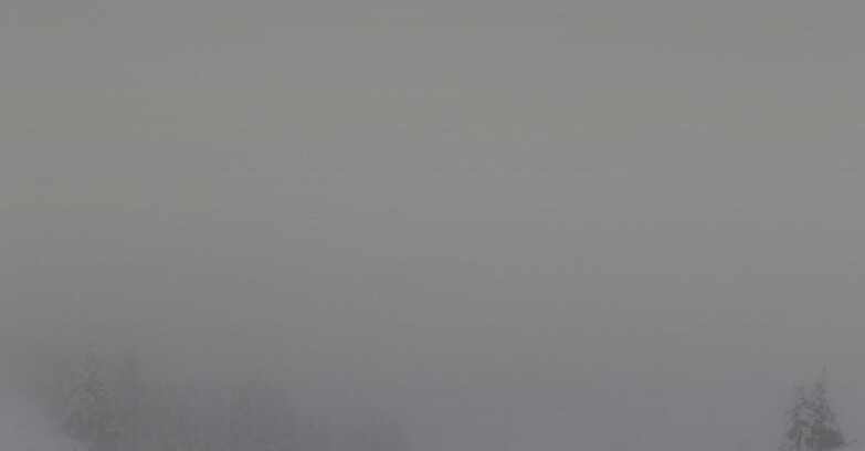 Webcam Skiarea Campiglio Dolomiti di Brenta Val di Sole Val Rendena - Dolomiti di Brenta - Marilleva