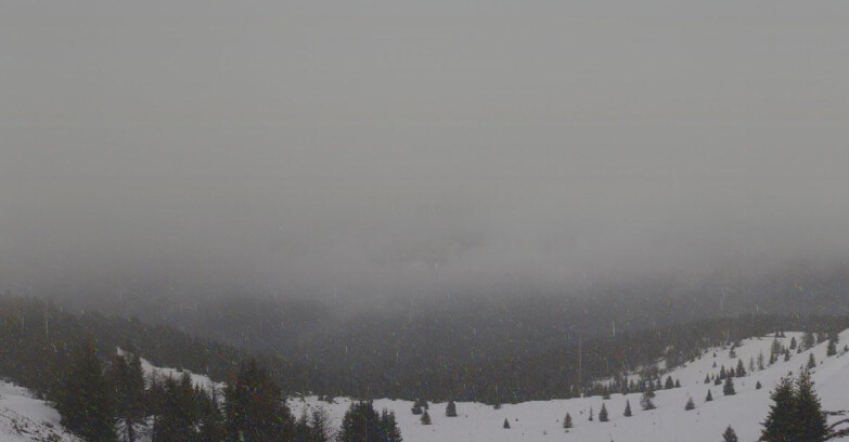 Webcam Skiarea Campiglio Dolomiti di Brenta Val di Sole Val Rendena - Dolomiti di Brenta - Marilleva