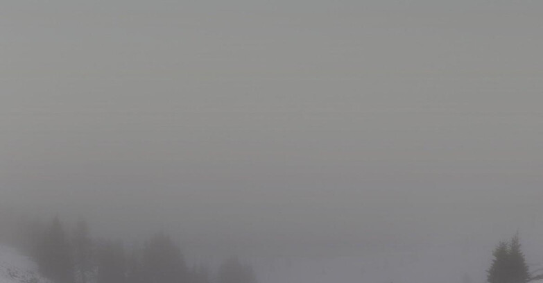 Webcam Skiarea Campiglio Dolomiti di Brenta Val di Sole Val Rendena - Dolomiti di Brenta - Marilleva