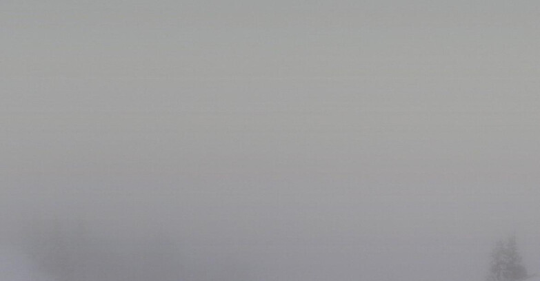 Webcam Skiarea Campiglio Dolomiti di Brenta Val di Sole Val Rendena - Dolomiti di Brenta - Marilleva