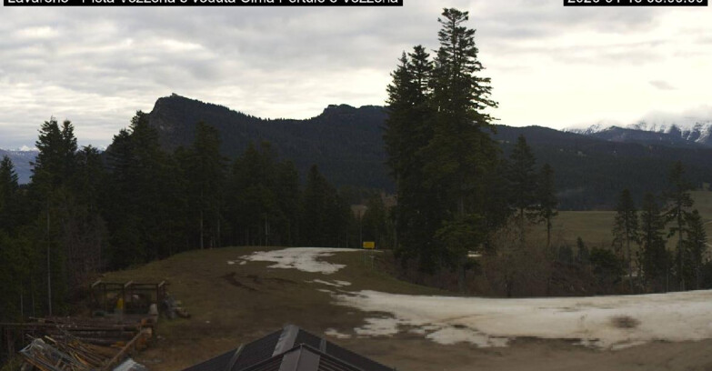 Webcam Ski Area Lavarone  - Piste Vezzena