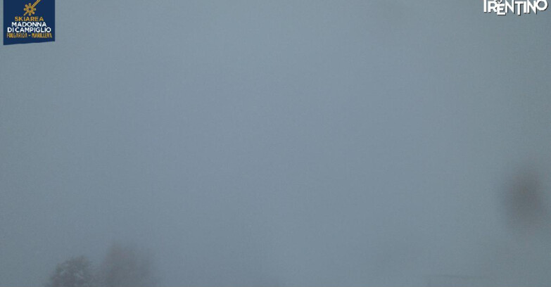 Webcam Skiarea Campiglio Dolomiti di Brenta Val di Sole Val Rendena - Val Panciana