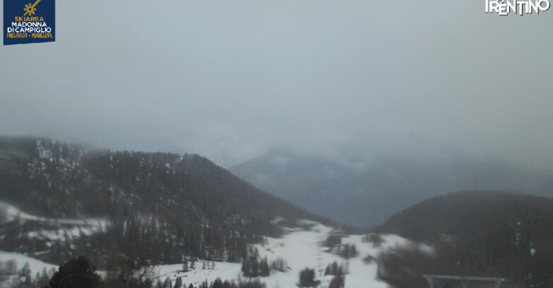 Webcam Skiarea Campiglio Dolomiti di Brenta Val di Sole Val Rendena - Val Panciana