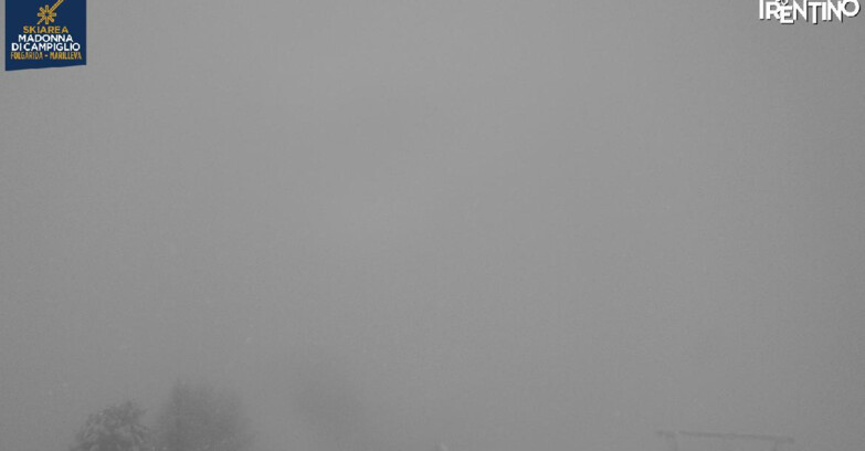 Webcam Skiarea Campiglio Dolomiti di Brenta Val di Sole Val Rendena - Val Panciana