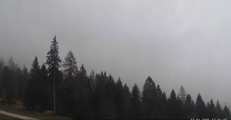 Webcam San Martino di Castrozza - Passo Rolle - Le Pale di San Martino