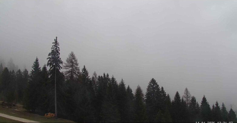 Webcam San Martino di Castrozza - Passo Rolle - Le Pale di San Martino