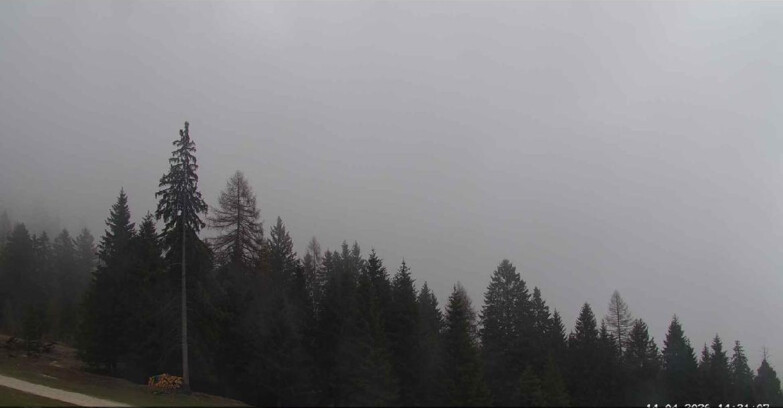 Webcam San Martino di Castrozza - Passo Rolle - Le Pale di San Martino
