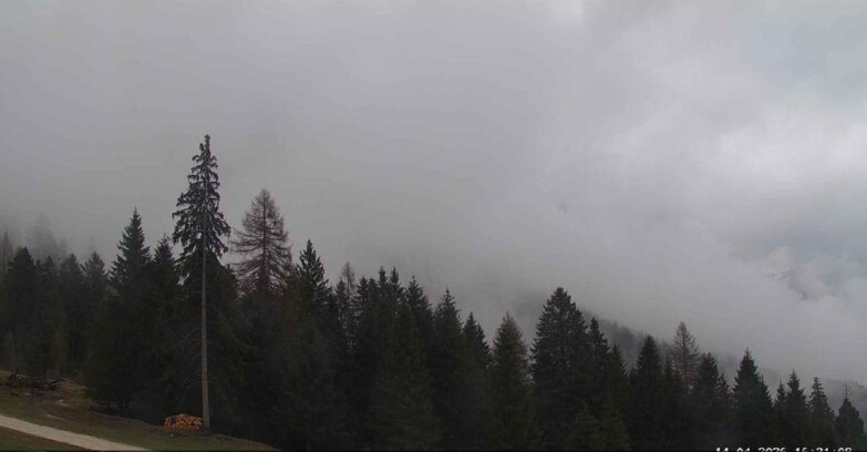 Webcam San Martino di Castrozza - Passo Rolle - Le Pale di San Martino