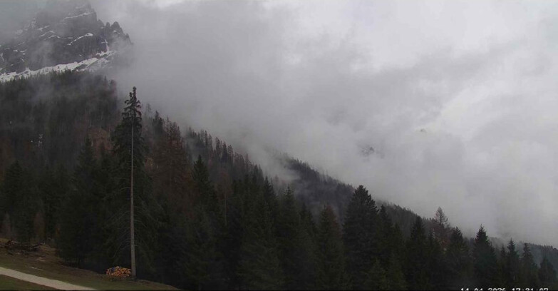 Webcam San Martino di Castrozza - Passo Rolle - Le Pale di San Martino