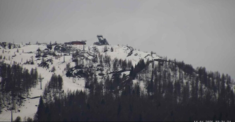 Webcam San Martino di Castrozza - Passo Rolle - Alpe Tognola e Pista 1