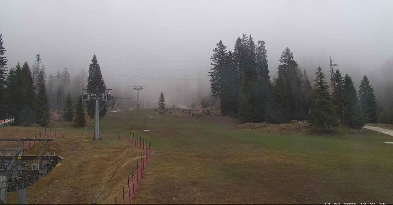 Webcam San Martino di Castrozza - Passo Rolle - Pista Col Verde