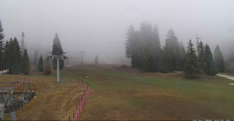 Webcam San Martino di Castrozza - Passo Rolle - Pista Col Verde