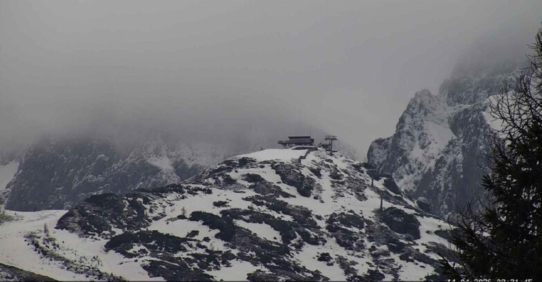 Webcam Сан-Мартино-ди-Кастроцца - Пассо-Ролле - Punta Ces 