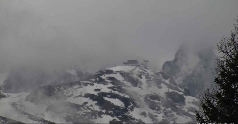 Webcam Сан-Мартино-ди-Кастроцца - Пассо-Ролле - Punta Ces 