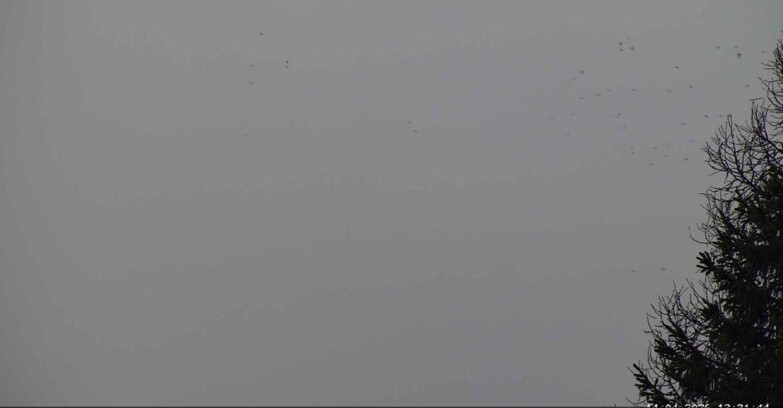 Webcam San Martino di Castrozza - Passo Rolle - Punta Ces 