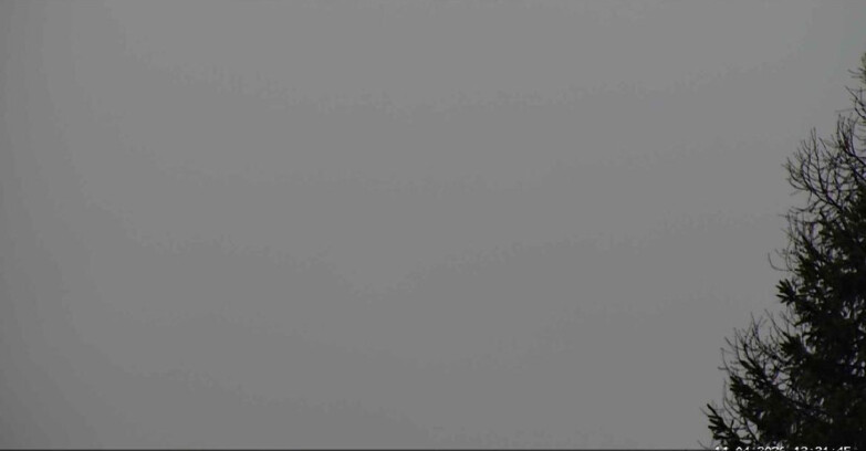 Webcam San Martino di Castrozza - Passo Rolle - Punta Ces 