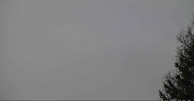 Webcam San Martino di Castrozza - Passo Rolle - Punta Ces 