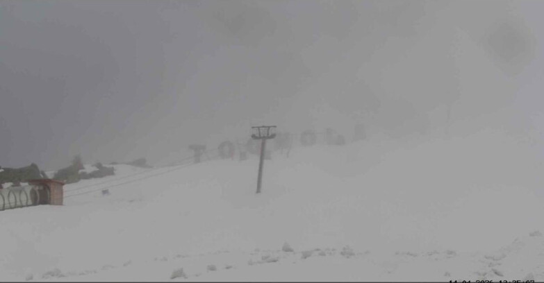 Webcam San Martino di Castrozza - Passo Rolle - Tognola Park