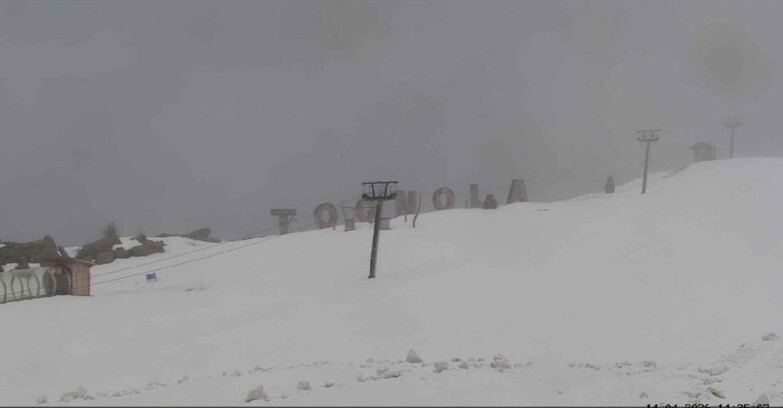 Webcam San Martino di Castrozza - Passo Rolle - Tognola Park