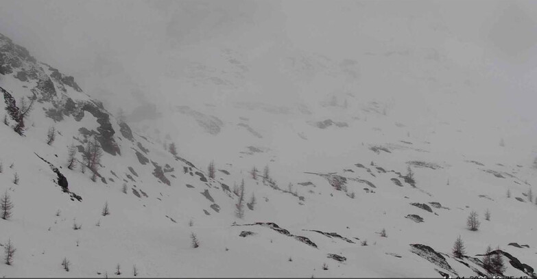 Webcam San Martino di Castrozza - Passo Rolle - Sentiero delle Marmotte