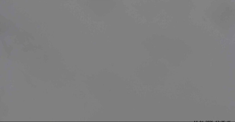 Webcam San Martino di Castrozza - Passo Rolle - Sentiero delle Marmotte