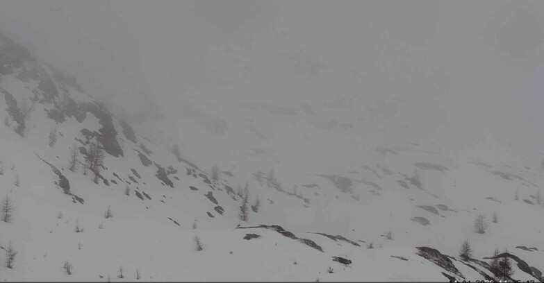 Webcam San Martino di Castrozza - Passo Rolle - Sentiero delle Marmotte