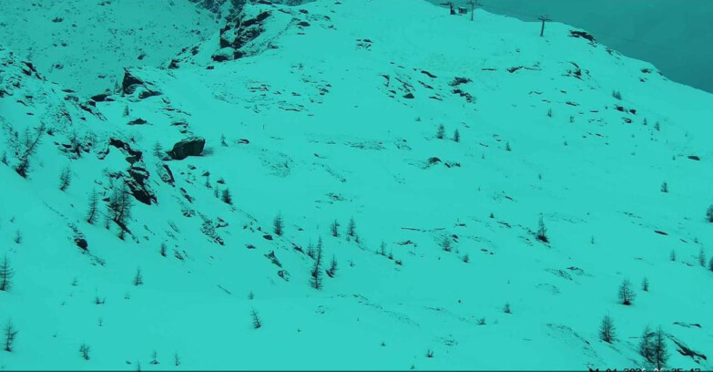 Webcam San Martino di Castrozza - Passo Rolle - Sentiero delle Marmotte