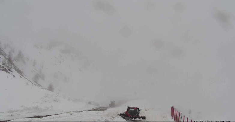 Webcam San Martino di Castrozza - Passo Rolle - Conca