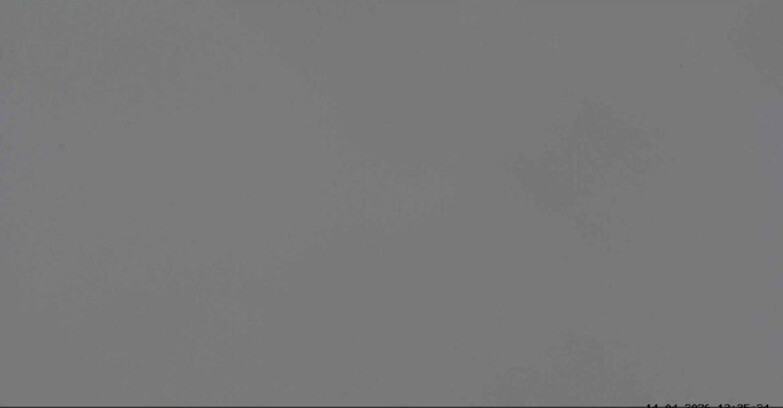 Webcam San Martino di Castrozza - Passo Rolle - Malga Tognola