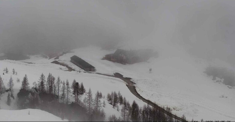 Webcam San Martino di Castrozza - Passo Rolle - Malga Tognola