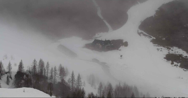 Webcam San Martino di Castrozza - Passo Rolle - Malga Tognola