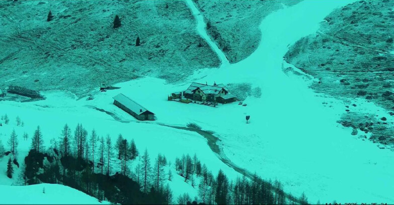 Webcam San Martino di Castrozza - Passo Rolle - Malga Tognola