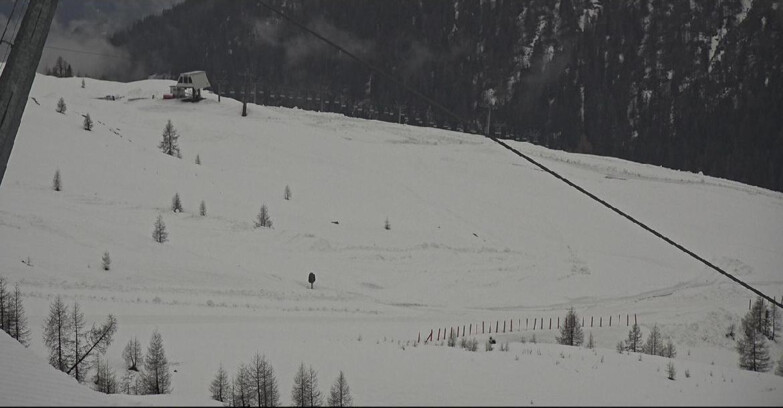 Webcam San Martino di Castrozza - Passo Rolle - Tognola - Rododendro