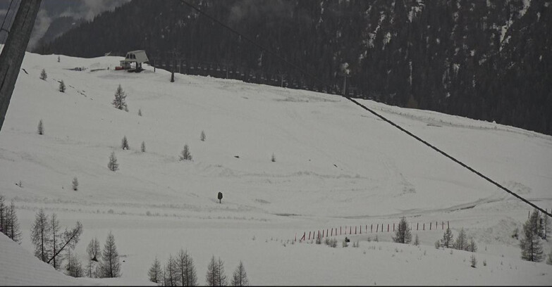 Webcam San Martino di Castrozza - Passo Rolle - Tognola - Rododendro