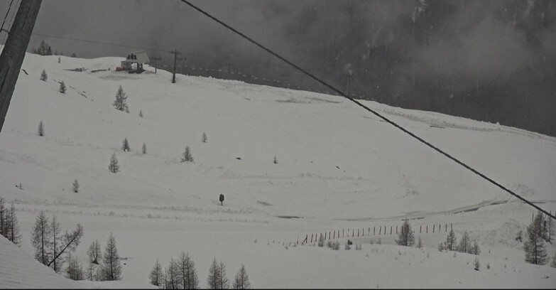 Webcam San Martino di Castrozza - Passo Rolle - Tognola - Rododendro