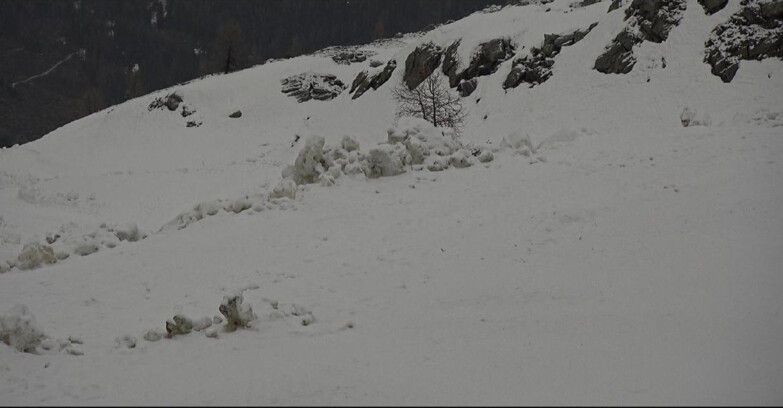 Webcam San Martino di Castrozza - Passo Rolle - Pista Tognola UNO
