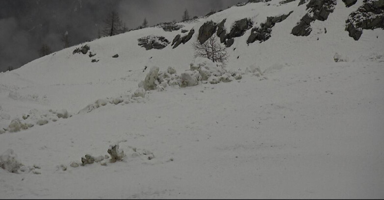 Webcam San Martino di Castrozza - Passo Rolle - Pista Tognola UNO