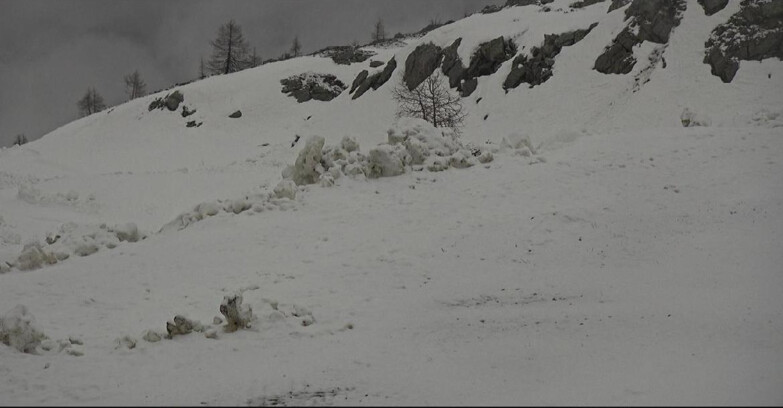 Webcam San Martino di Castrozza - Passo Rolle - Pista Tognola UNO