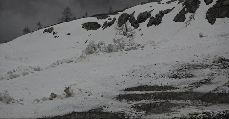 Webcam San Martino di Castrozza - Passo Rolle - Pista Tognola UNO