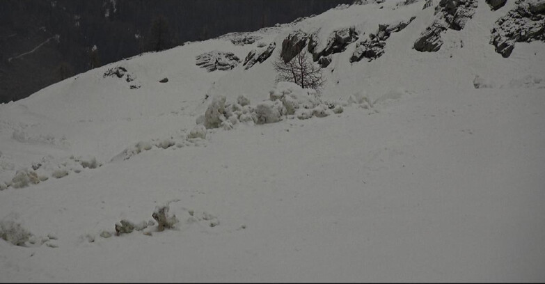 Webcam San Martino di Castrozza - Passo Rolle - Pista Tognola UNO