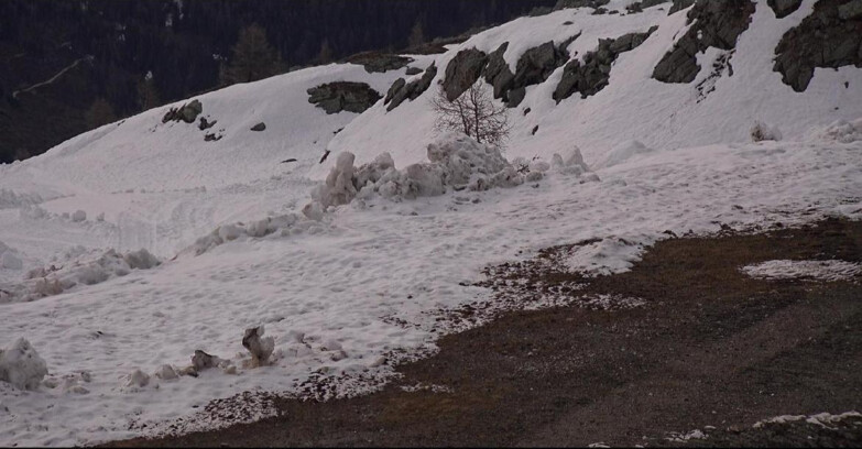 Webcam San Martino di Castrozza - Passo Rolle - Pista Tognola UNO