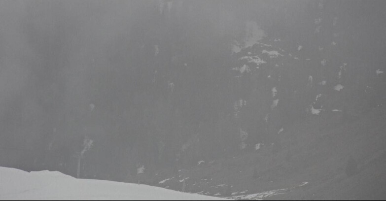 Webcam San Martino di Castrozza - Passo Rolle - Tognola - Pista Scandola