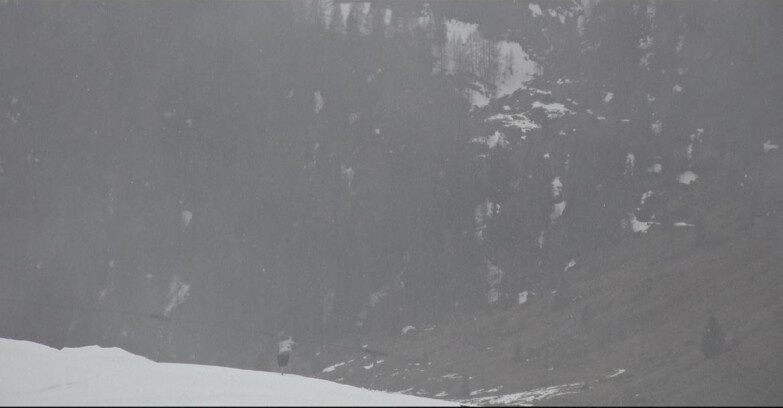 Webcam San Martino di Castrozza - Passo Rolle - Tognola - Pista Scandola