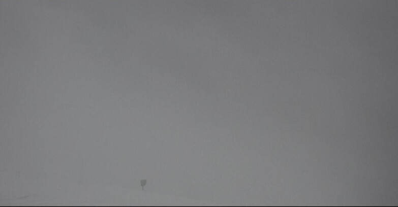 Webcam San Martino di Castrozza - Passo Rolle - Tognola - Pista Scandola