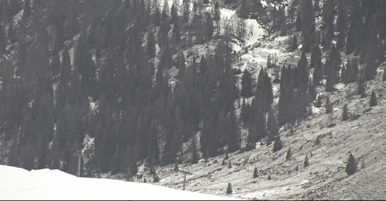 Webcam San Martino di Castrozza - Passo Rolle - Tognola - Pista Scandola