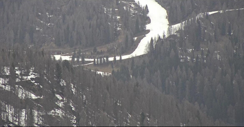 Webcam San Martino di Castrozza - Passo Rolle - Ces - Malga Valcigolera