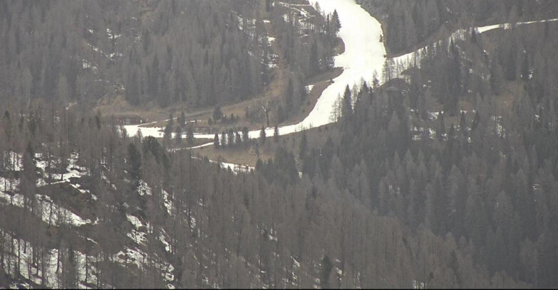 Webcam San Martino di Castrozza - Passo Rolle - Ces - Malga Valcigolera